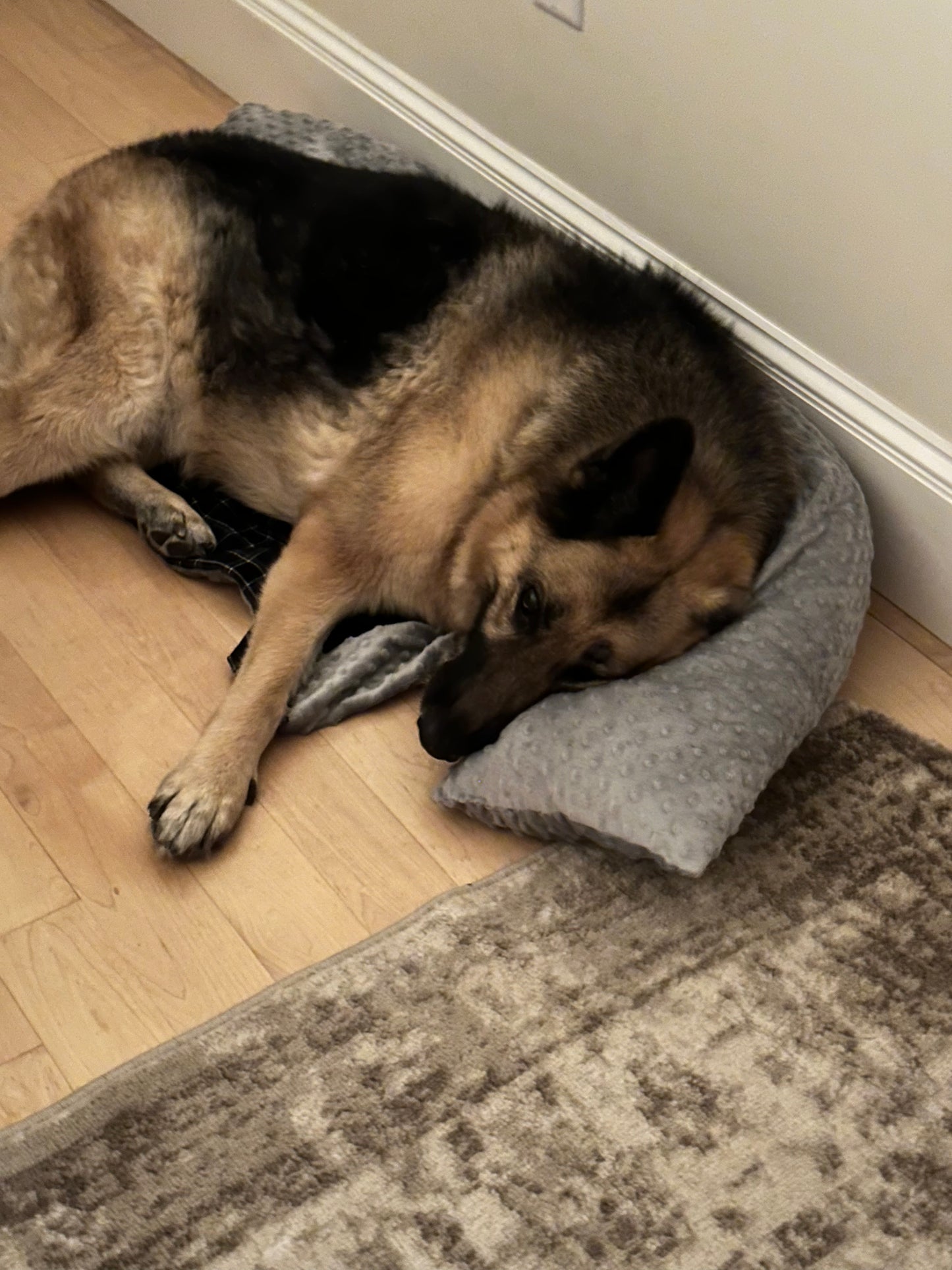 Snug-a-Pup Dog Pillow